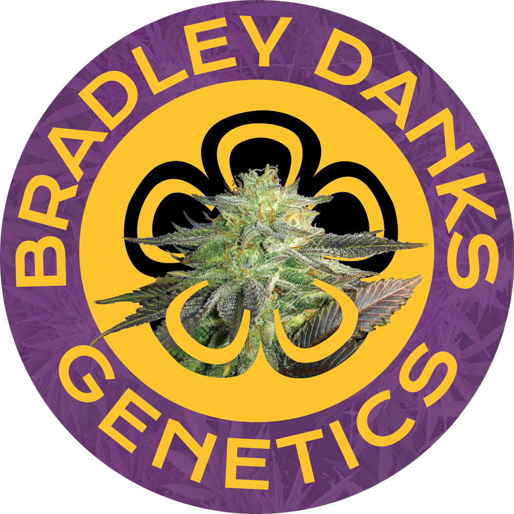 bdanks logo