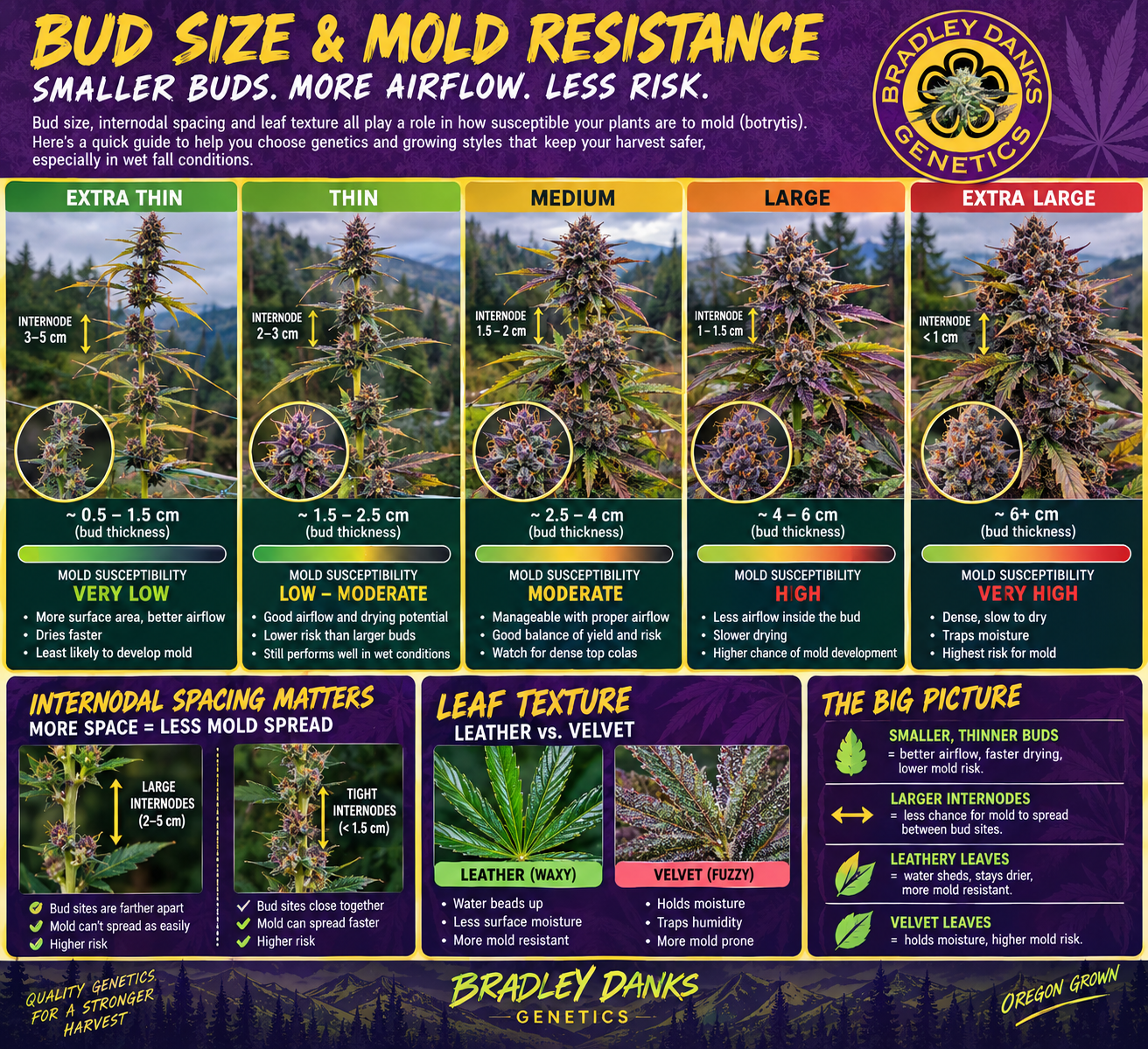 bud size mold resistance